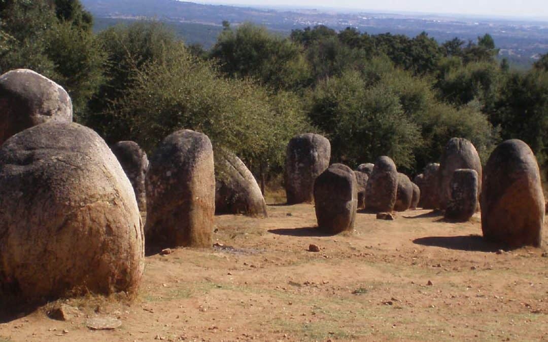 Portuguese Architecture: the Secondary and the Essential