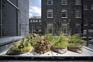 Call for Projects: Einfach Grün – Greening the City