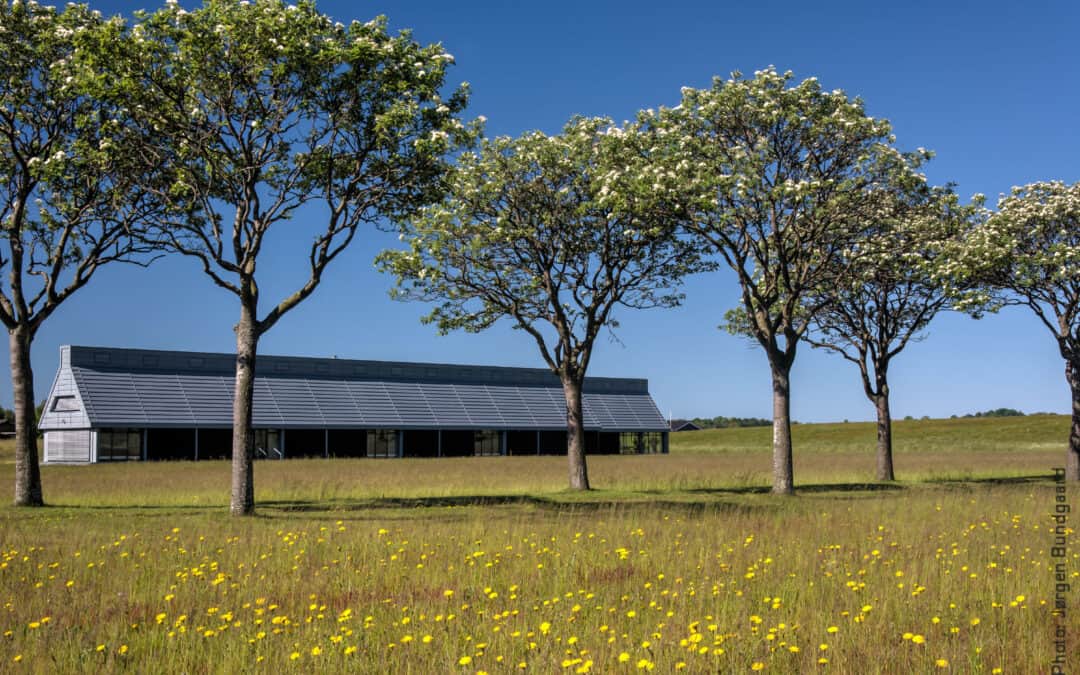 Vortrag: Bauen im Spannungsfeld zwischen Energieeffizienz und Emissionsreduktion
