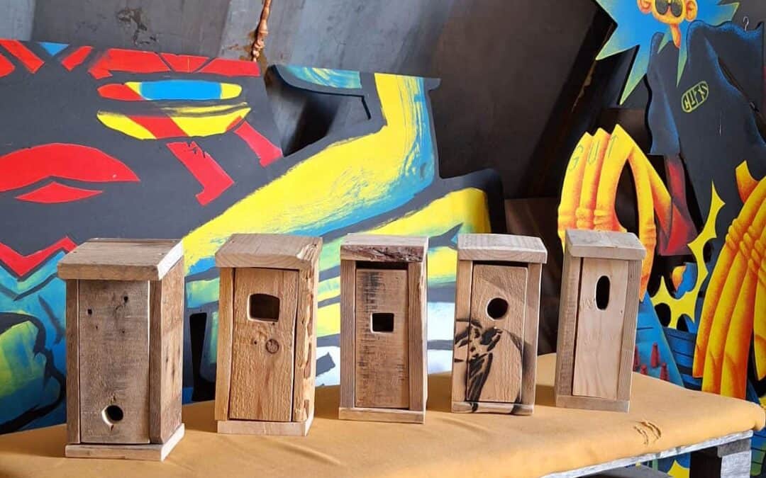 Vogelhaus Bauworkshop an der Langen Bank